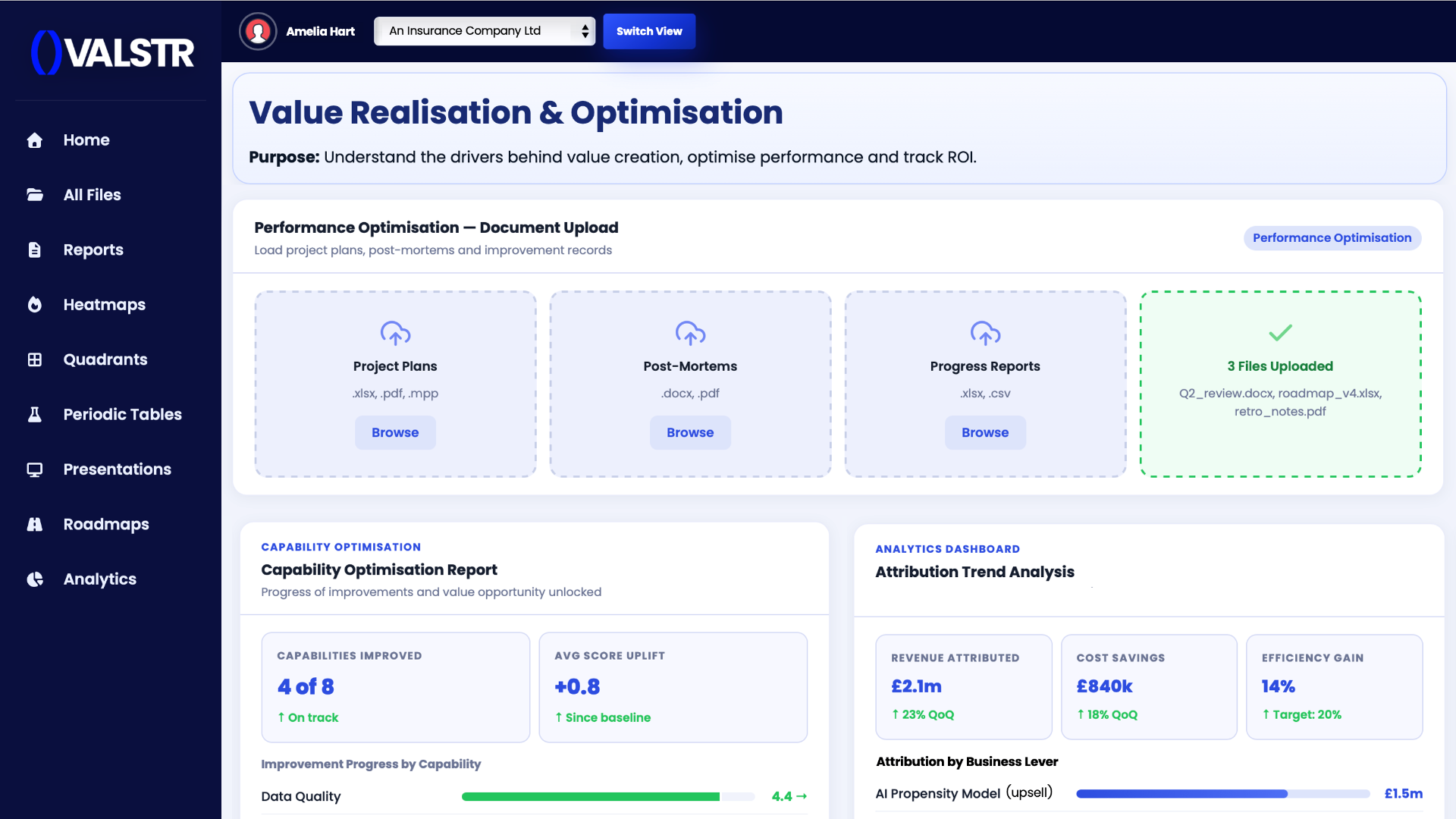 Value Realisation & Optimisation